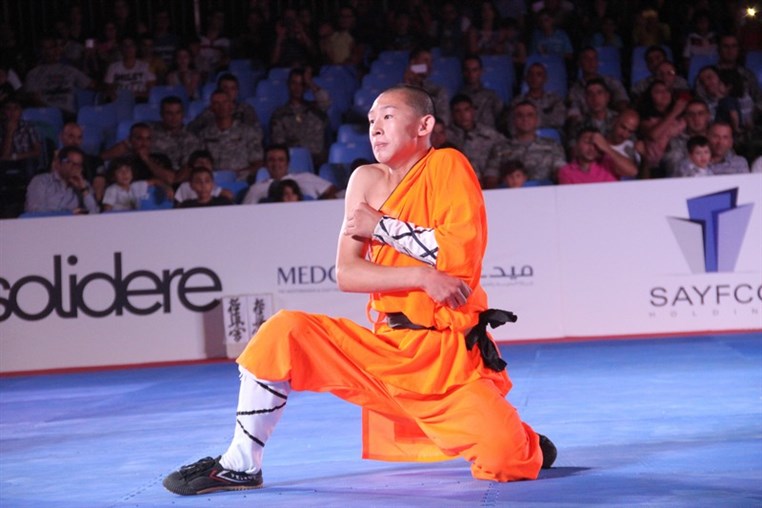 Martial Arts Festival